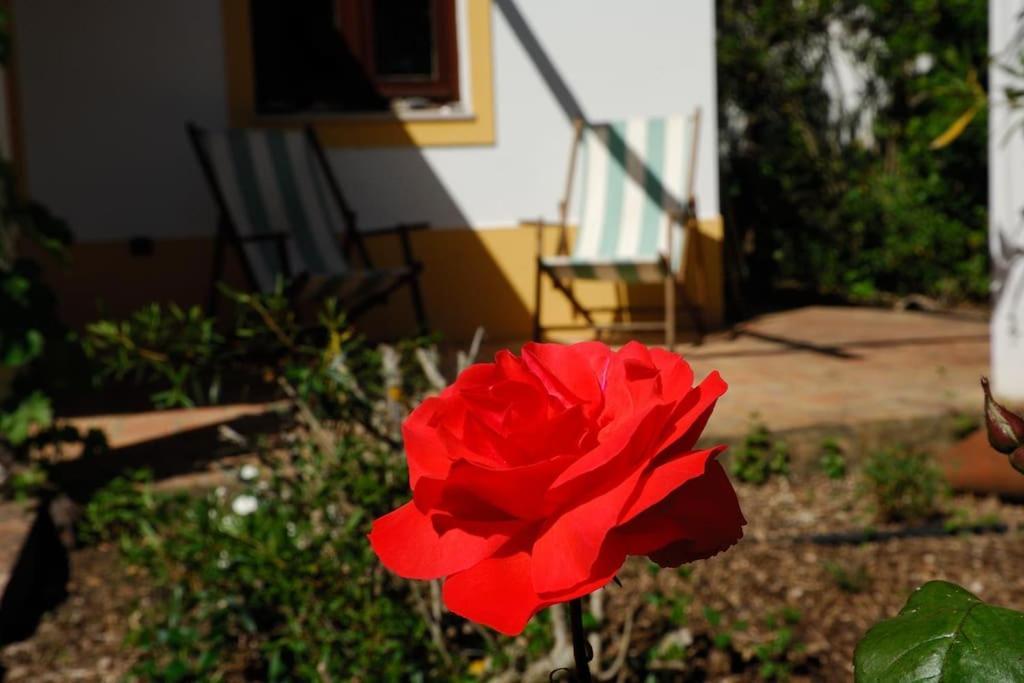 Vale Do Guizo: Casa Poente On The Contryside, Close By The Sea. Aljezur Exteriör bild